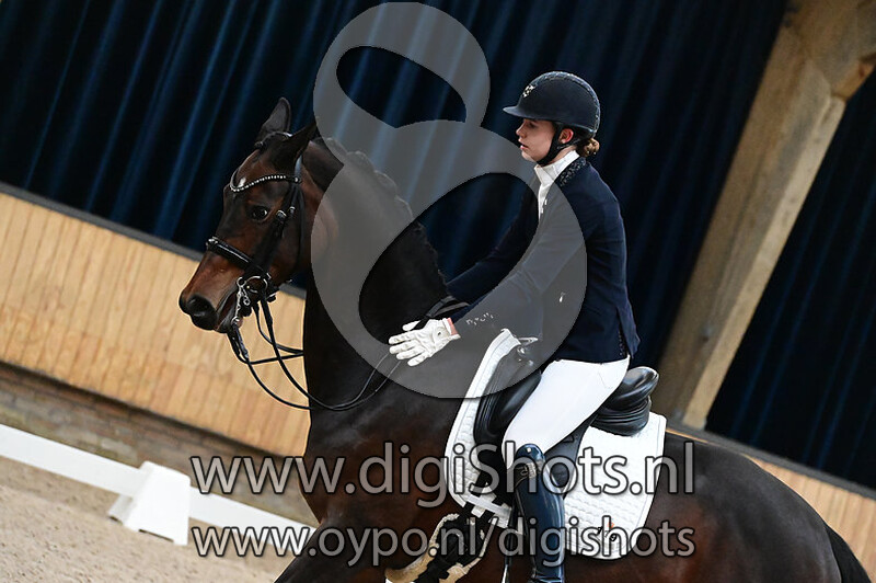 De Mersken Harper Lee DV