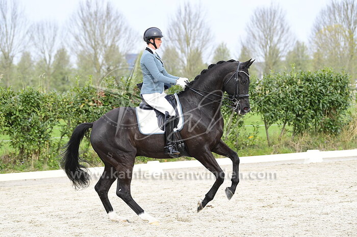 Stephanie Kooyman - Jackson W