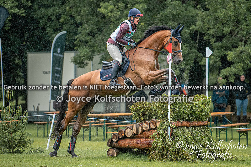 CCI1*-Intro
