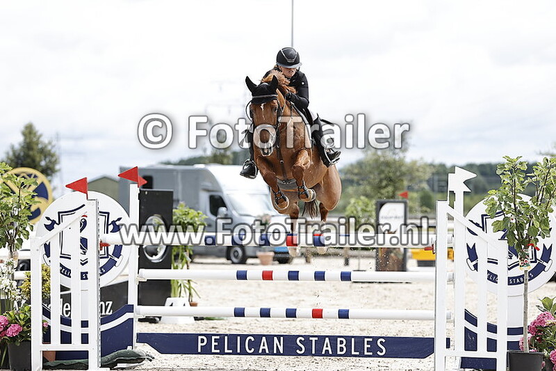 anoek van der pluijm