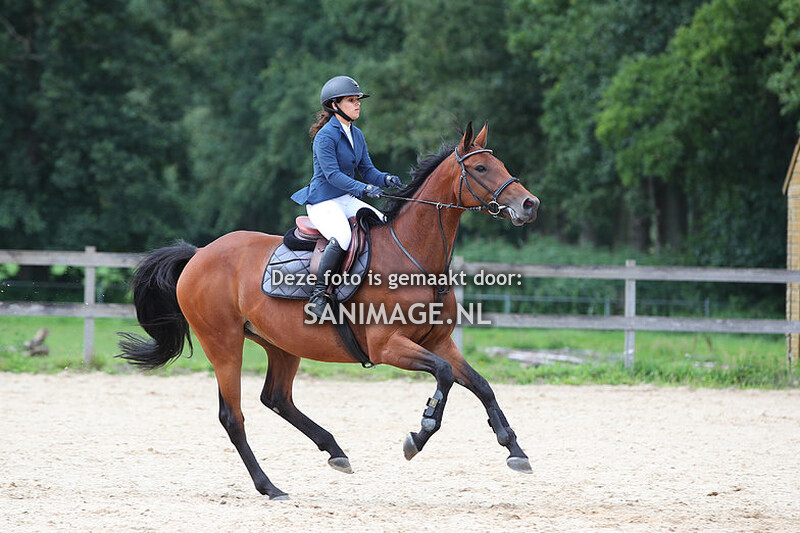 Manege Groenewoude Springen 13-08-2023 Paarden 80/90 cm