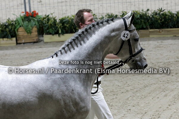 42 Newton VDL (Cohinoor x Hakilly D Z v. Harley VDL)