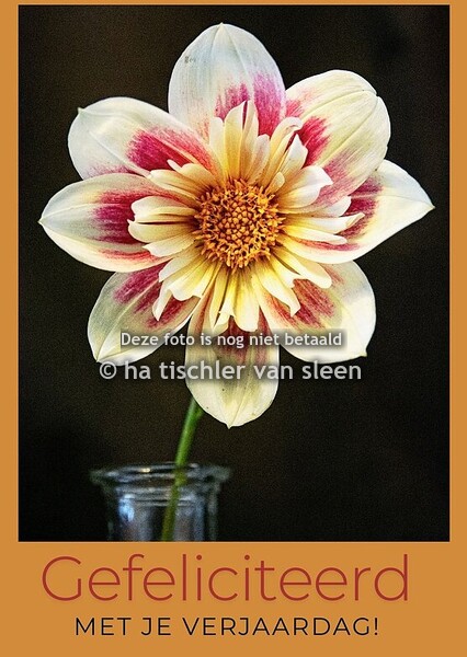 GEFELICITEERD MET JE VERJAARDAG