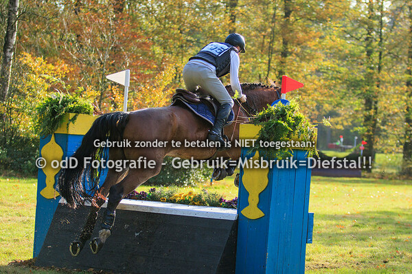 Maarsbergen Horse Trials, Paarden L, 03-11-23