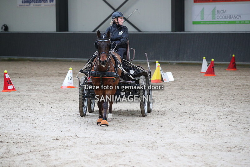 De Voornruiters De Meern Mennen Vaardigheid 02-03-2024 14.30-16.00 uur