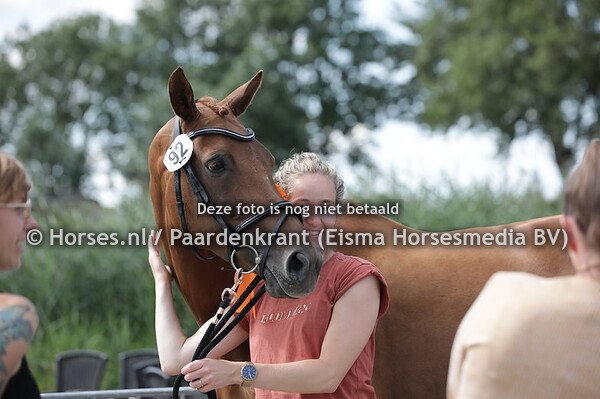 92 Jezebel (Blue Hors Zack x Vitesse v. Furure)