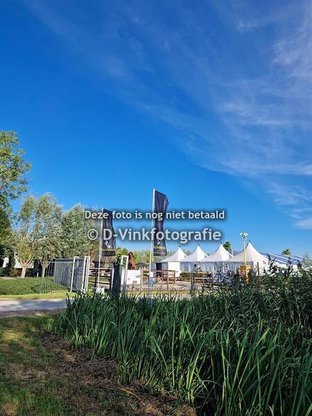 Black Horses Cup 2025