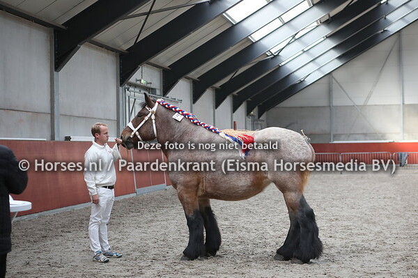 51 Florine de Mom (Florian van;t Rietenhof x Tulipe van Waardzicht)