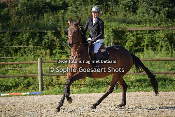 Paarden Clear Round 80