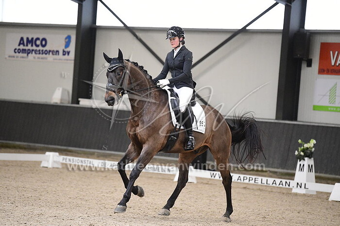 Jomy Benschop - Landsdale