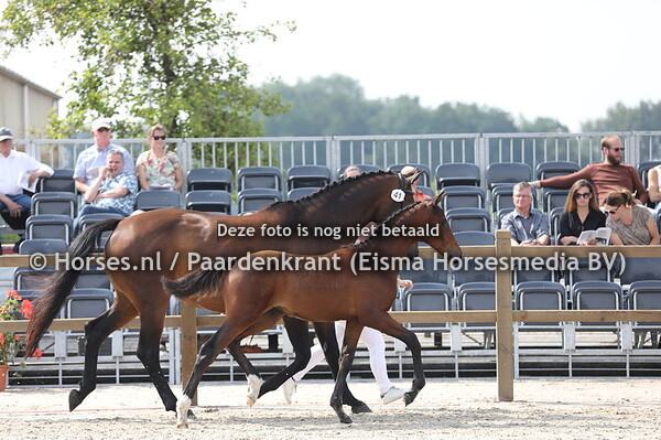 41 Santorini vd Hilakker