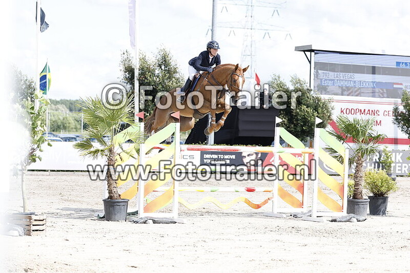 ester dammam blekkink