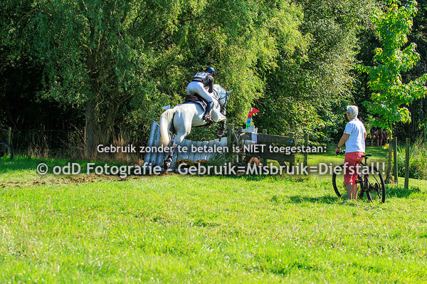 SGW Bollert Gelselaar Paard B Pony L 07-09-24