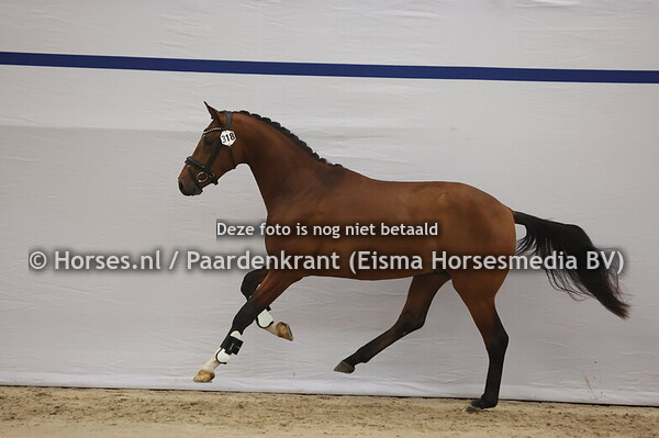 318 (Desperado x United)