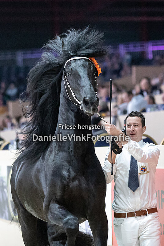 Hengstenkeuring 2023 Willem 508