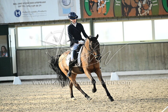 Sophie Liu - Hijker Forest Blitz