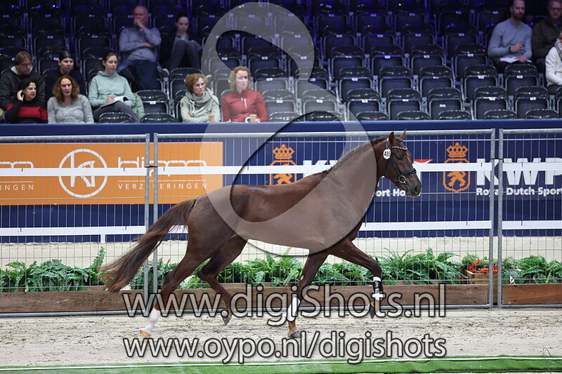 Slow Down v. Revolution