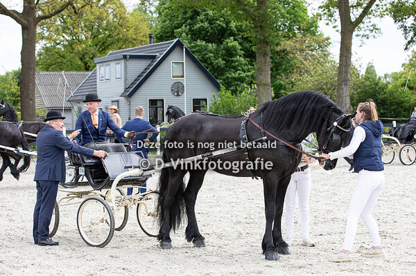 Rubriek 15. Friese dekhengsten voor de concourswagen