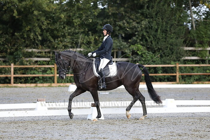 Anita Kuijpers - Vermeulen