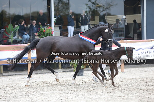 134 Orchidee van Kluizerheide