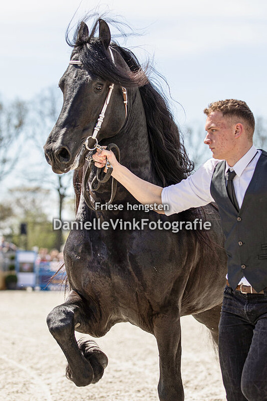 Hengstenshow Lunteren 18-04-2022 Boet 516