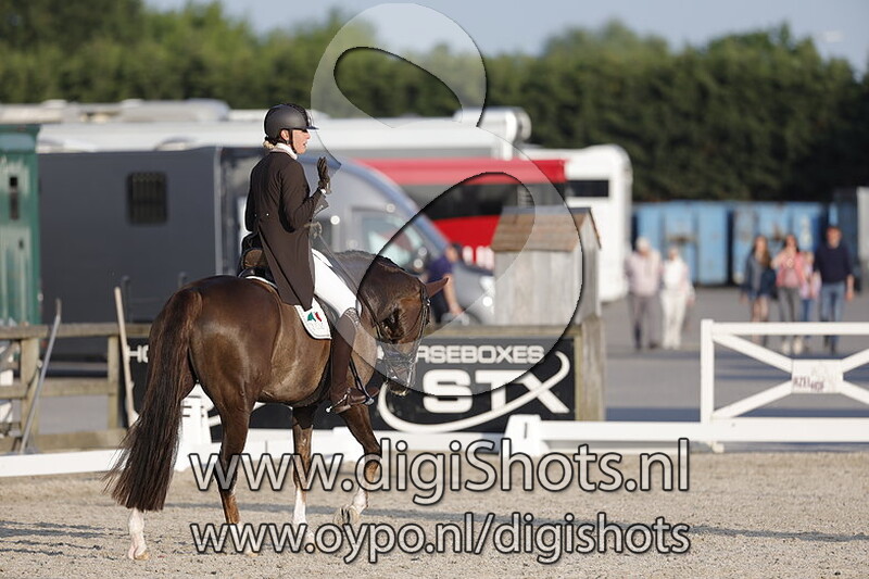 Herr Charmeur Coolhorses