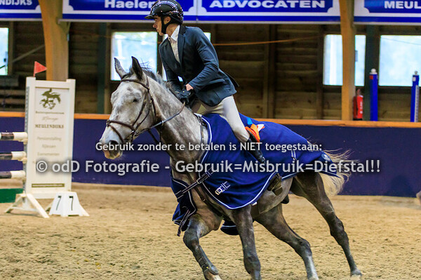 Geldrop Hippique Paard -18 100-120 13-10-24