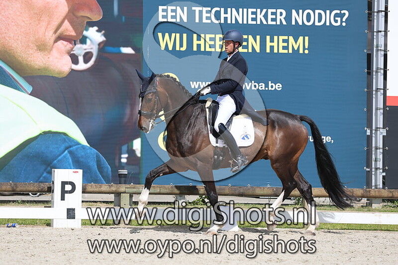 Nickname vd Wolfshoeve