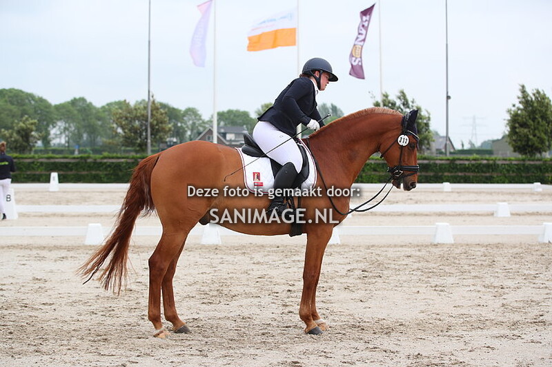 Nationaal scholenconcours 22-05-2024 Dressuur Ring 2 9.00 - 10.00 uur