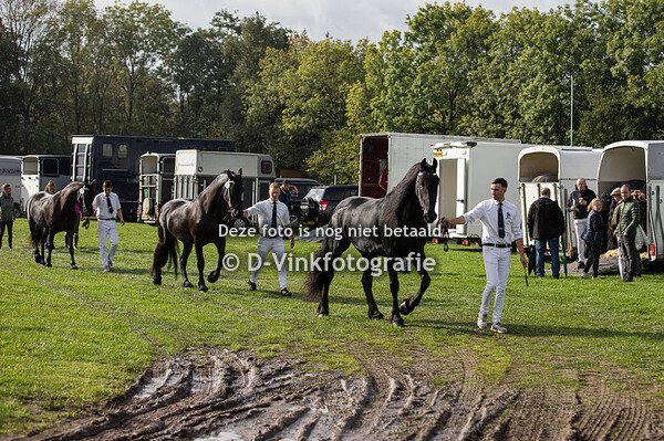 Rubriek 3a premiekeuring 3 jaar eo