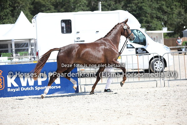 143 Lunavera SK (Governor x Unavera SK v. D-Day) (1)