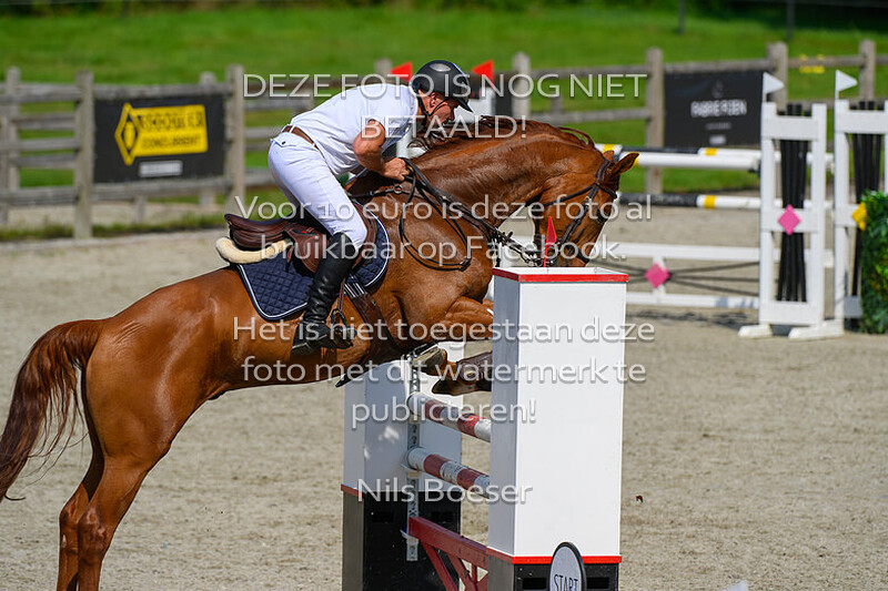 5 Paarden Klasse 130-135cm