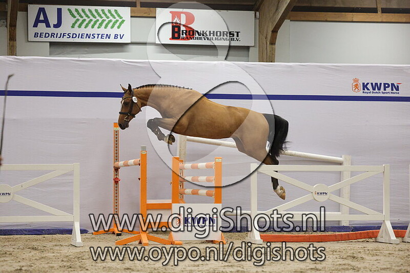 Nozem van de Blarinckhorst Z