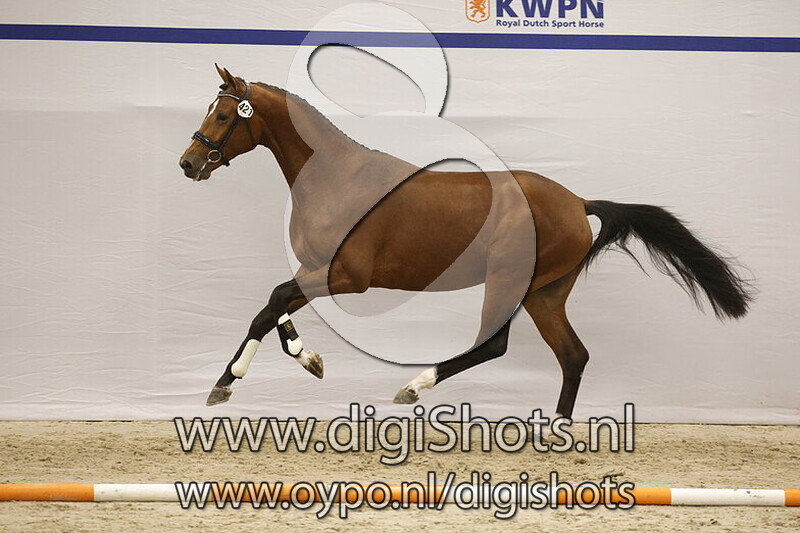 Springsteen v. Las Vegas