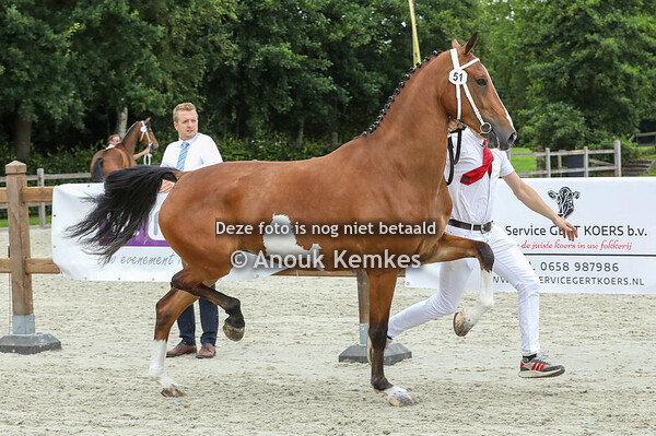 51 - Sandalina HM ( Icellie x Colonist )