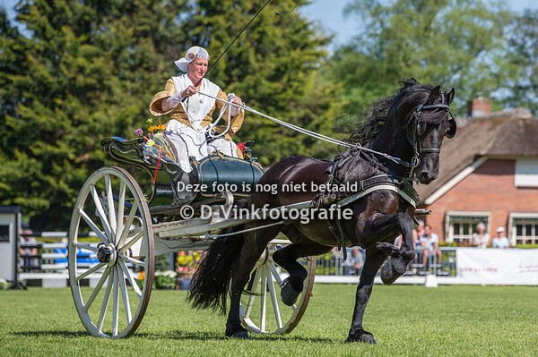 14. Damesklasse nationaal