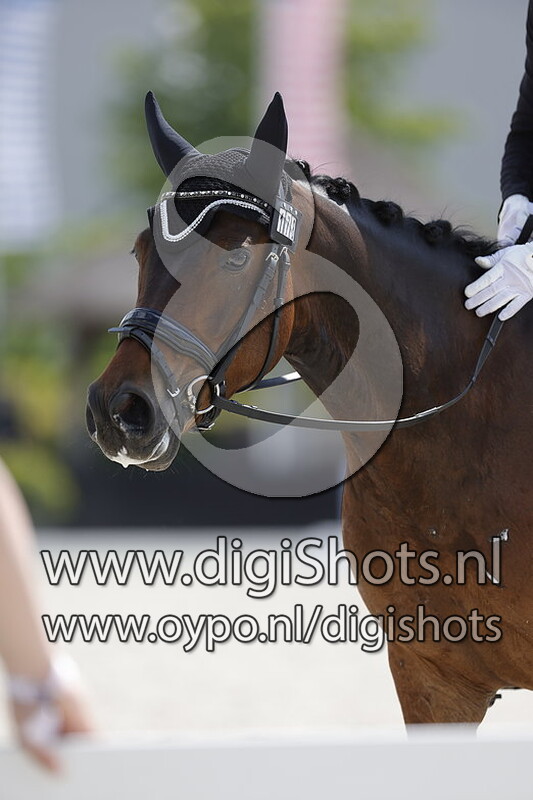 Koncorde van Equi Center