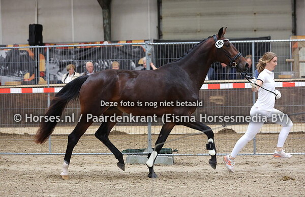 148 Rozarma (Jameson RS2 x Mizarma v. Rousseau)