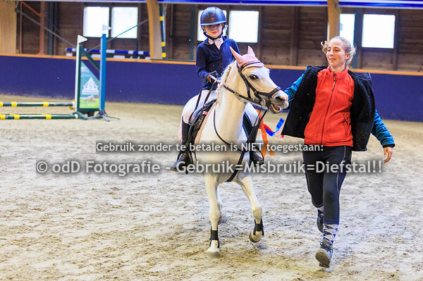 Geldrop Hippique oefen 20-30cm  11-10-25