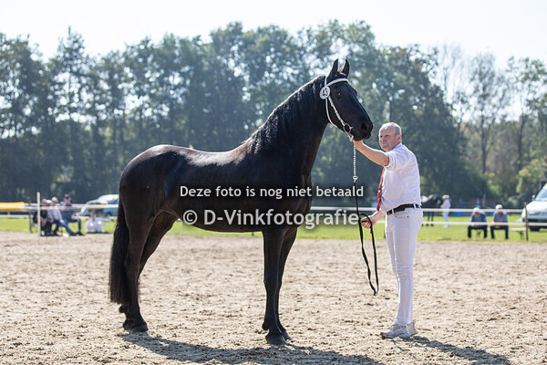 43. Saartje von Catarinaburg