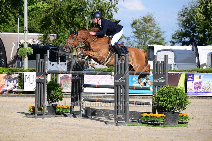 Koen Cerpentier - Qwibus van de Abelendreef