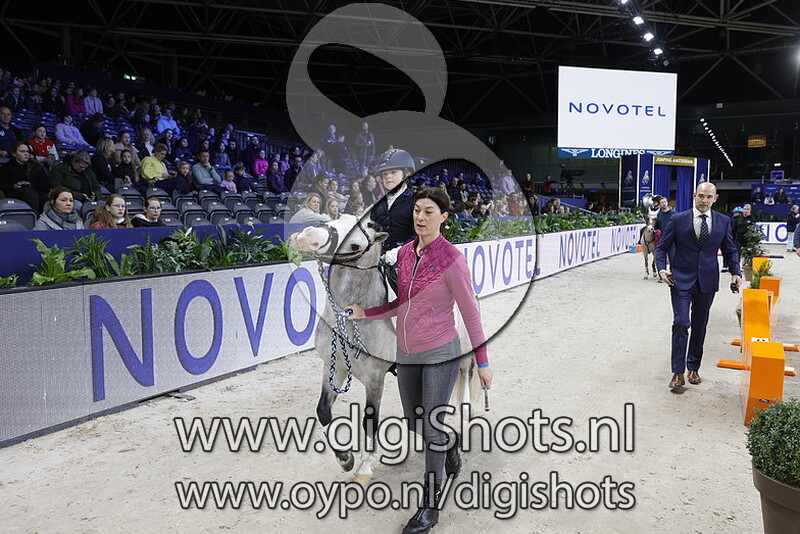 De Merlenberg's Silver