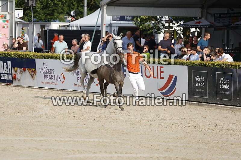 schuttert sport sales