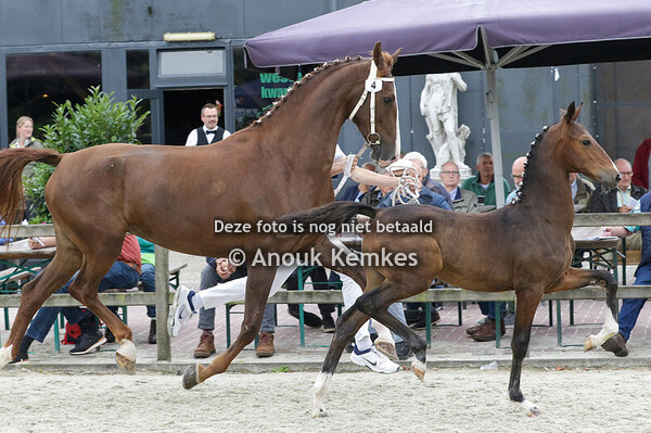 004 - UREDA OLYMPUS HS X KORDAAT SJ. CAZEMIER, JONKERSVAART