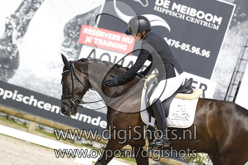 WinHorses Millionaire