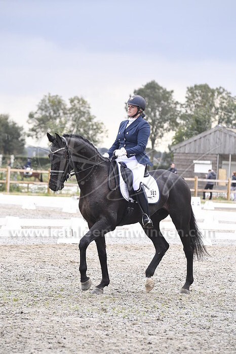 Dominique van Gijzen