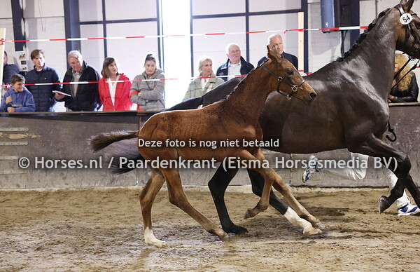 54 Upside Down VL (Las vegas x Oteliska v. Ferguson)