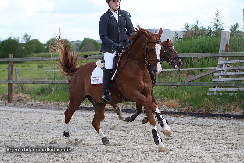 Hippisch Festijn PSV Polarfurst Pony's Prijsuitreiking 80-90cm
