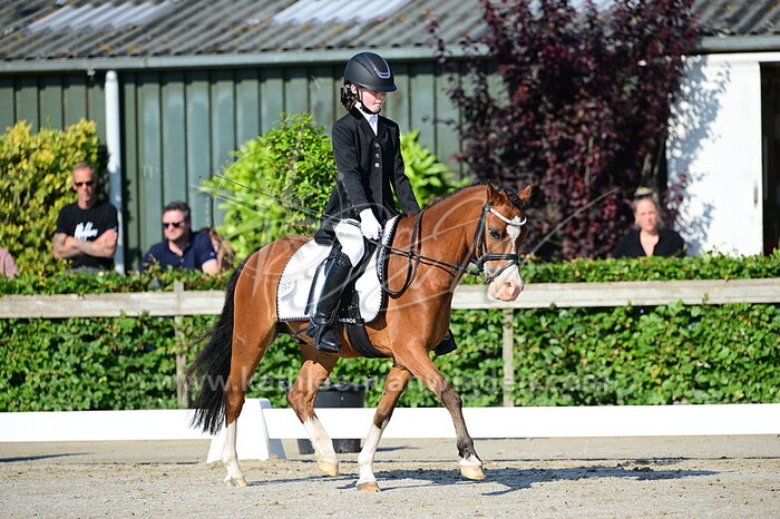 Liedewij Donselaar - Cuppers Montana