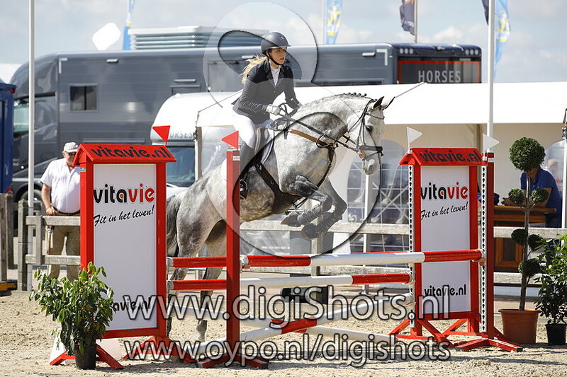 De Weuste's Chayenne